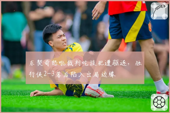 东契奇怒吼裁判吃技犯遭驱逐,独行侠2-3落后陷入出局边缘