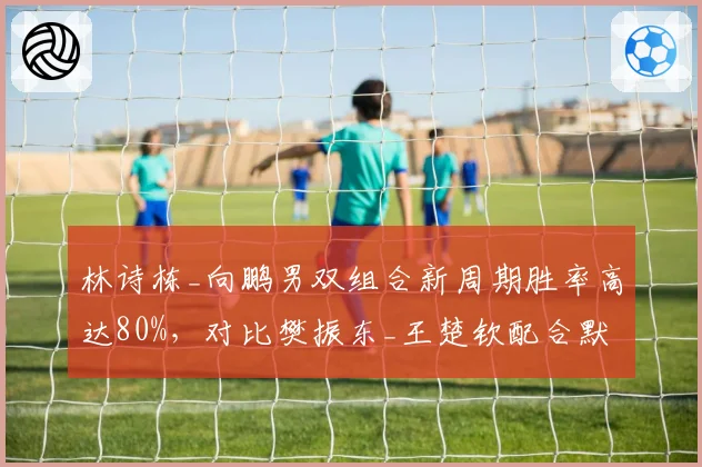 林诗栋_向鹏男双组合新周期胜率高达80%，对比樊振东_王楚钦配合默契度仍需磨合