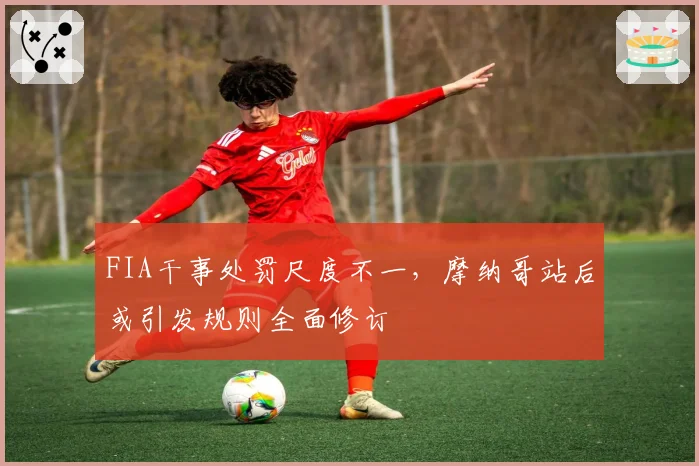 FIA干事处罚尺度不一,摩纳哥站后或引发规则全面修订
