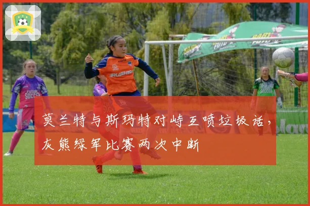 莫兰特与斯玛特对峙互喷垃圾话，灰熊绿军比赛两次中断