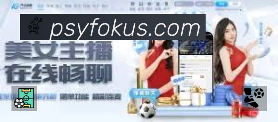 安全使用与支持流程